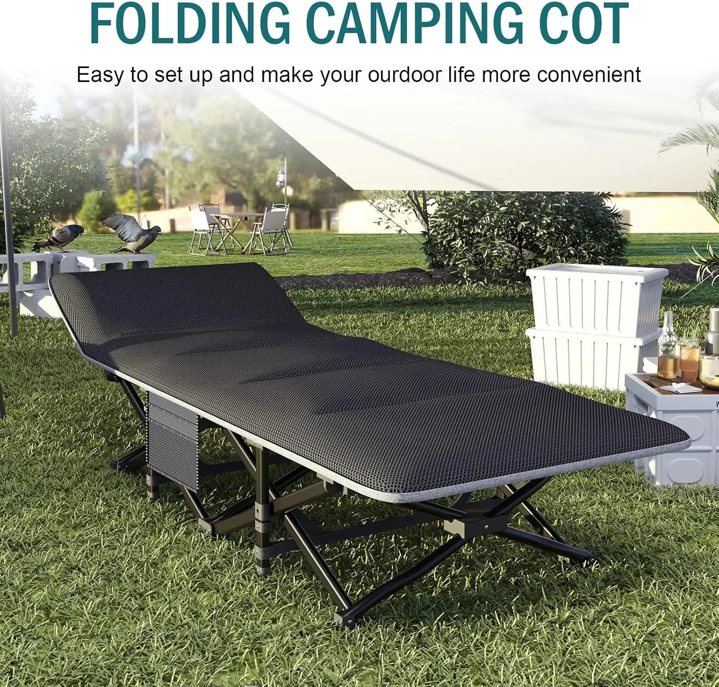 Folding Cot for Adults